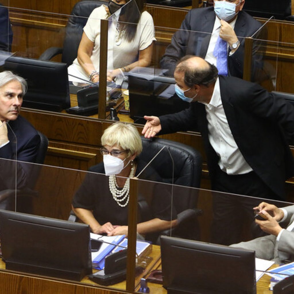 Nuevo sistema de adopción en Chile tuvo respaldo unánime en el Senado