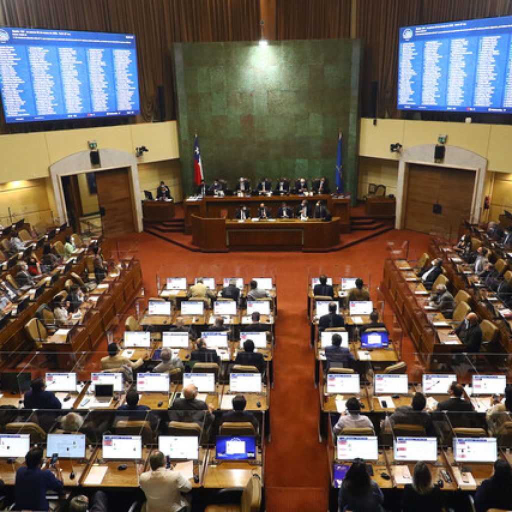 Cámara respaldó veto aditivo a proyecto sobre plataformas digitales