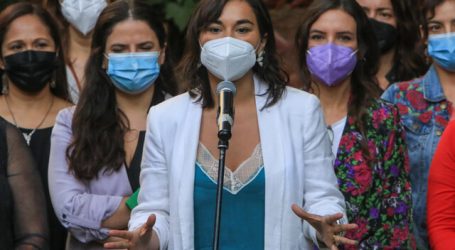 Gobierno retirará 139 querellas por Ley de Seguridad del Estado