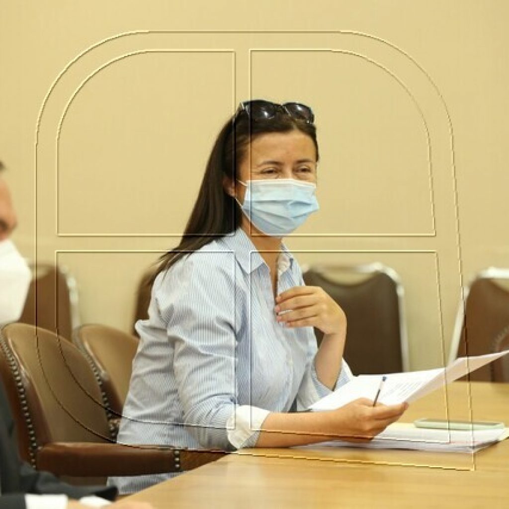 Diputadas (e) UDI anuncian agenda legislativa en protección de víctimas de VIF