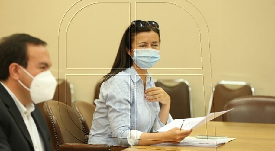 Diputadas (e) UDI anuncian agenda legislativa en protección de víctimas de VIF