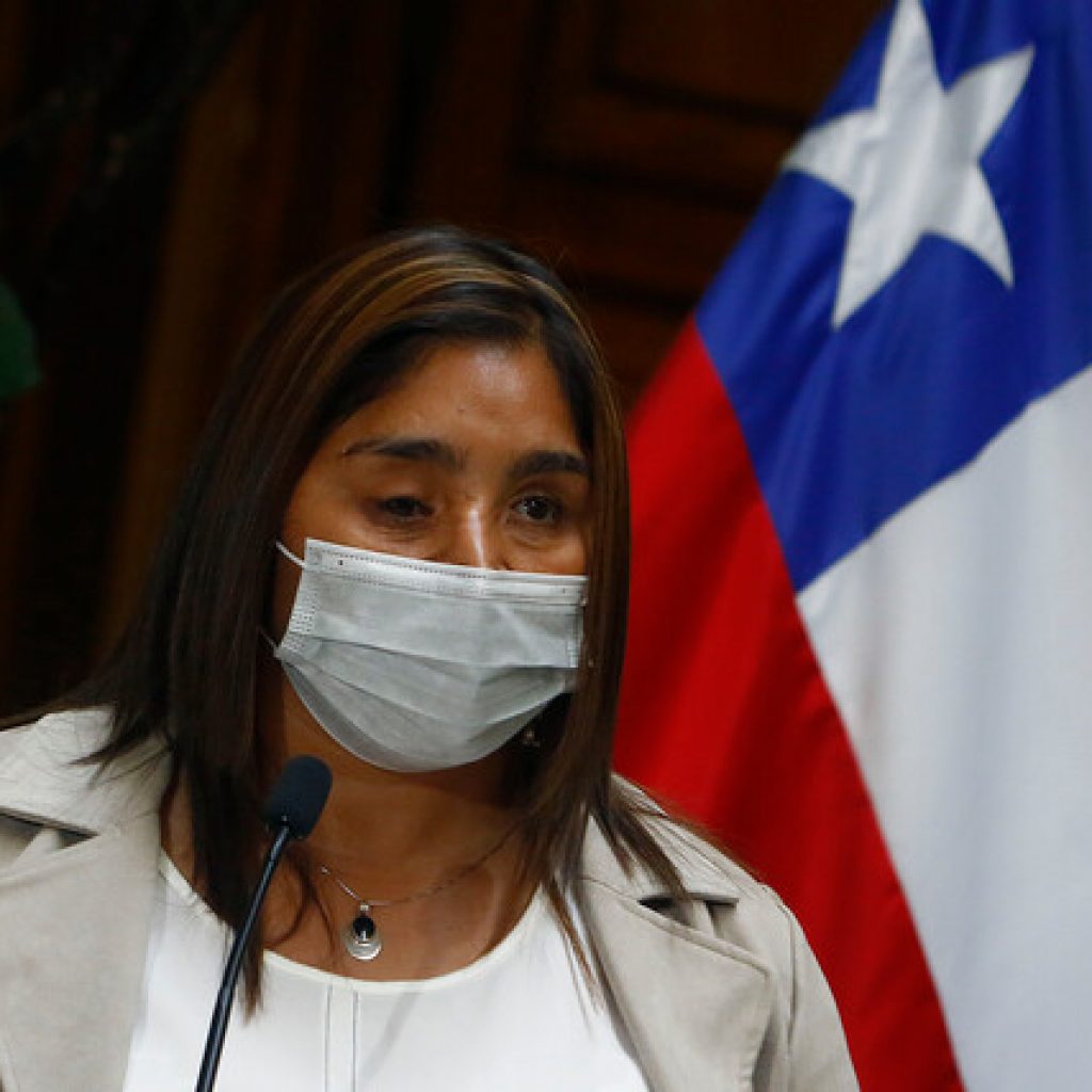 Campillai se reunió con Jackson para pedir urgencia a proyecto de amnistía