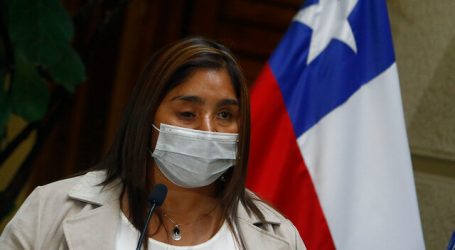 Campillai se reunió con Jackson para pedir urgencia a proyecto de amnistía