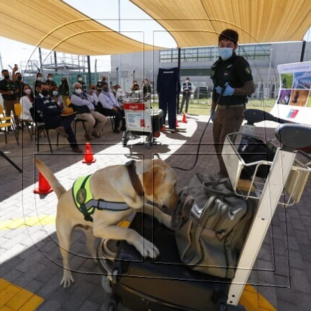 Inauguran dependencias de la Escuela Brigada Canina SAG en el aeropuerto