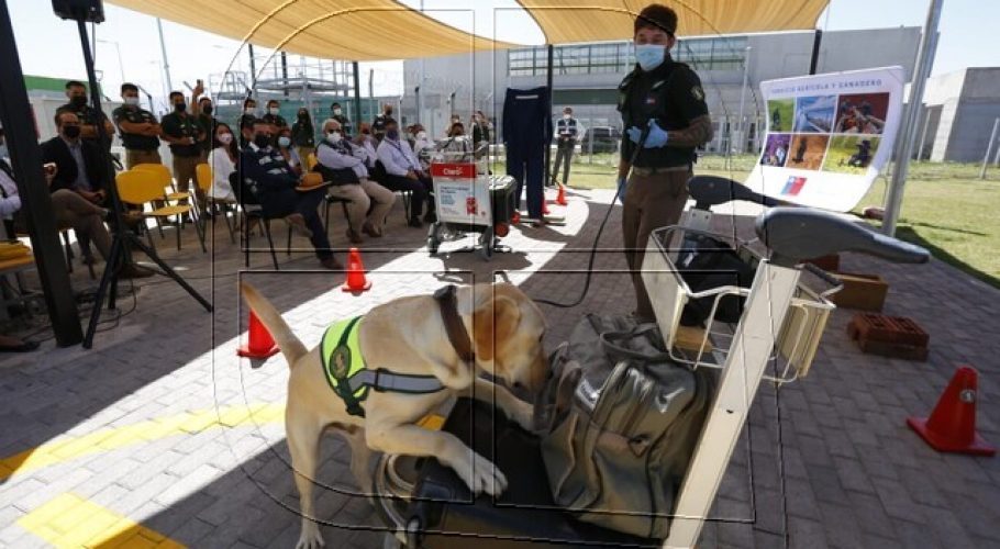 Inauguran dependencias de la Escuela Brigada Canina SAG en el aeropuerto