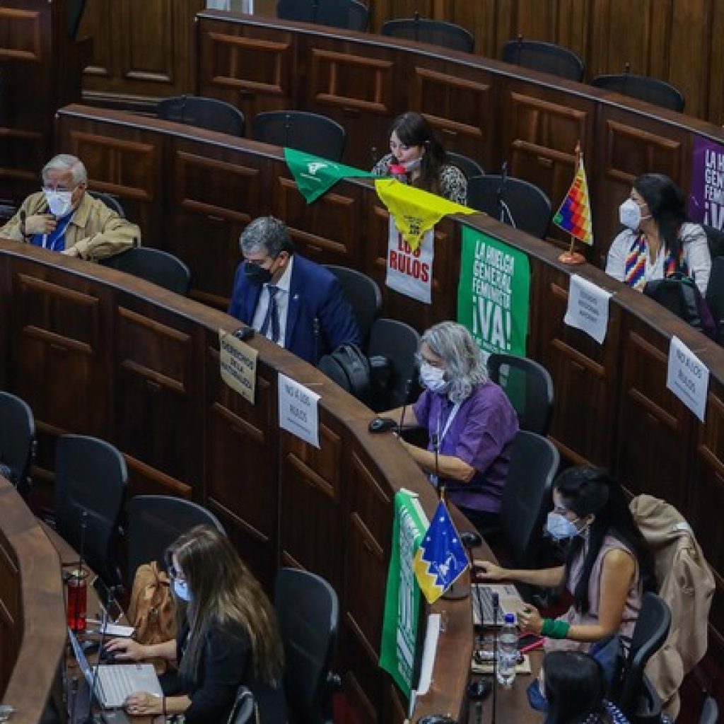 Derechos sexuales y reproductivos avanzan en propuesta constitucional