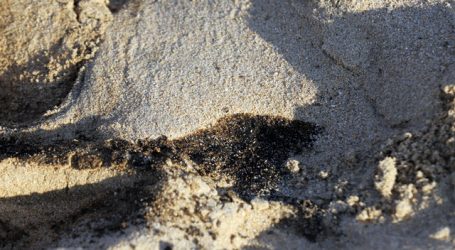 Hidrocarburos en Las Salinas: Ripamonti se querellará por delito ambiental