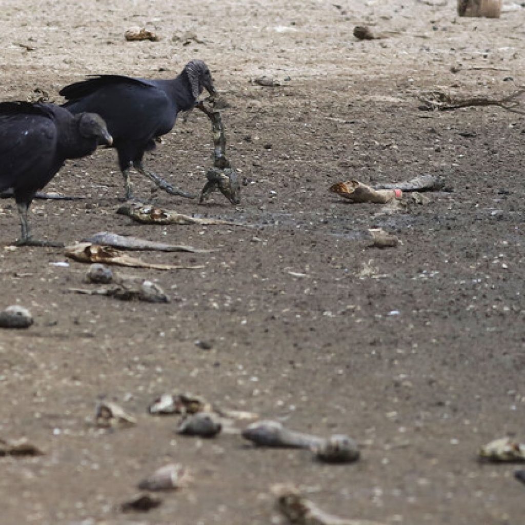Municipios abordan efectos de la crisis hídrica en la región de Aysén