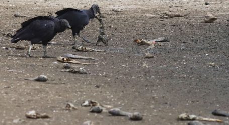 Municipios abordan efectos de la crisis hídrica en la región de Aysén