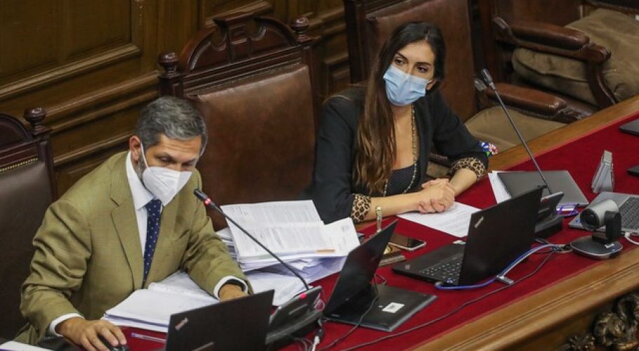 Convención: Reconocimiento de naciones preexistentes en propuesta constitucional