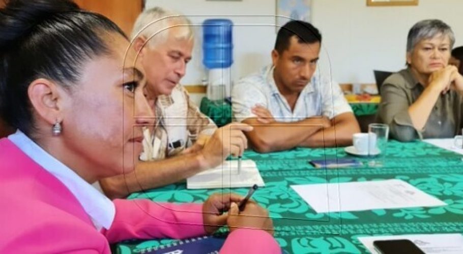 Core por Rapa Nui pide al Gobierno medidas urgentes para reapertura al turismo