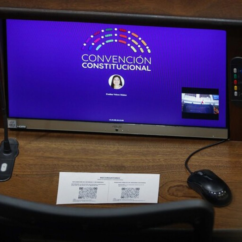 Vida libre de maltrato para los animales será parte de la nueva Constitución