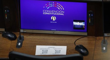 Vida libre de maltrato para los animales será parte de la nueva Constitución