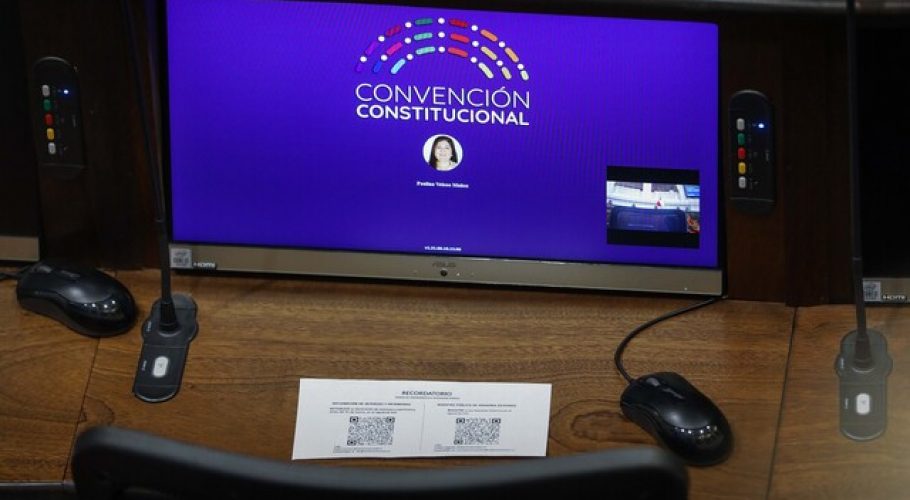 Vida libre de maltrato para los animales será parte de la nueva Constitución