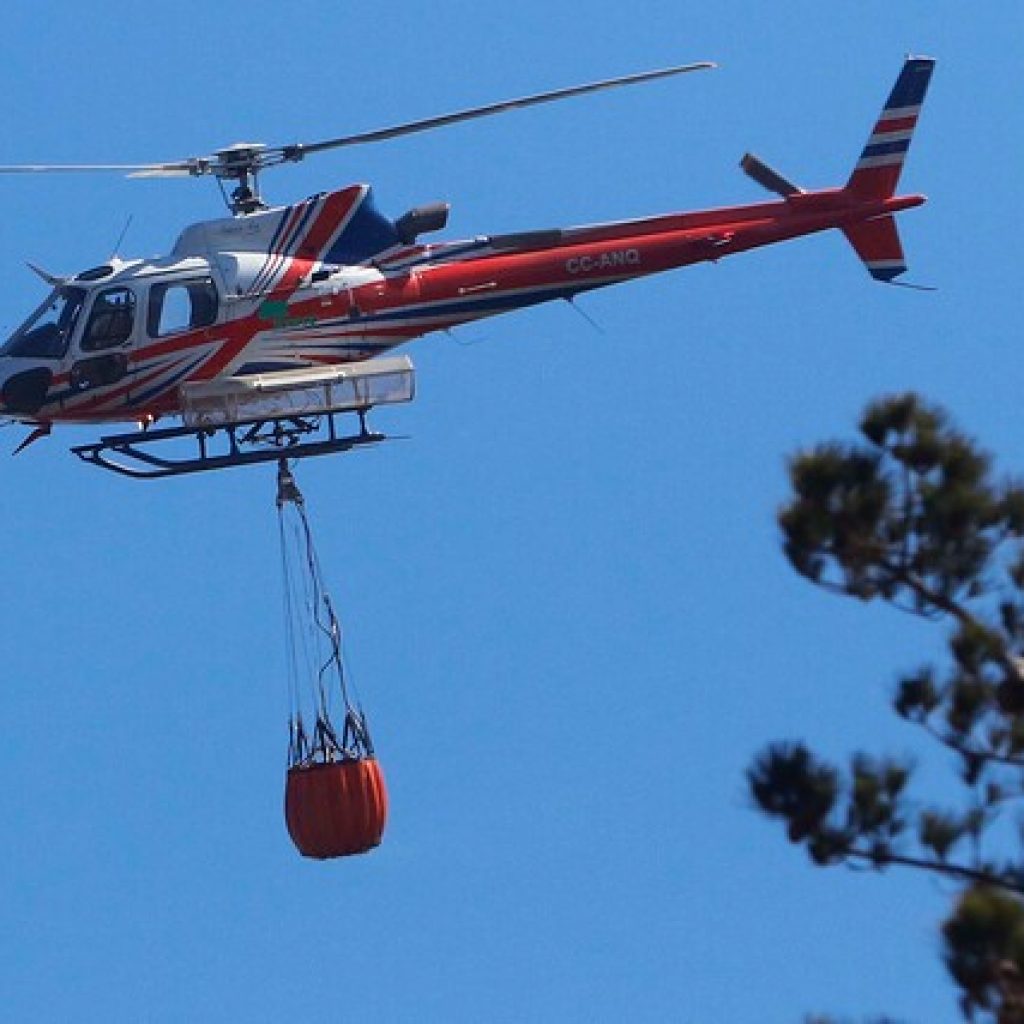 Continúa la Alerta Roja en la comuna de Valparaíso por incendio forestal