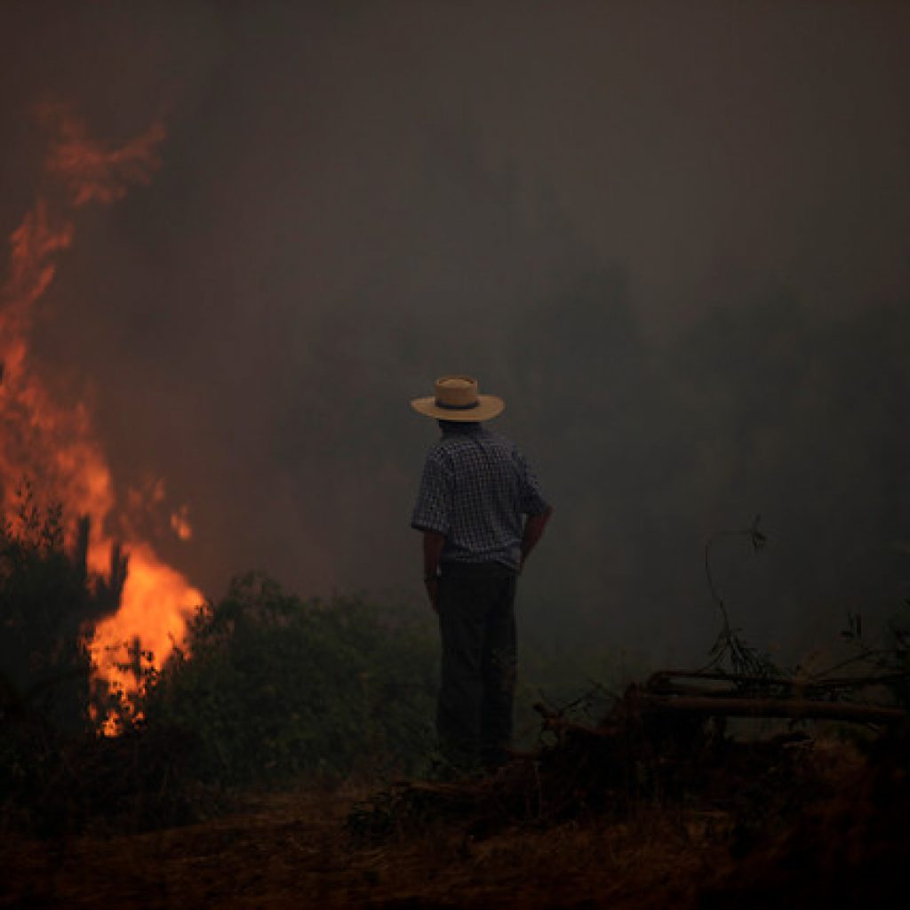 Alerta Roja para la comuna de Florida por incendio forestal