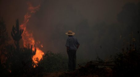 Alerta Roja para la comuna de Florida por incendio forestal