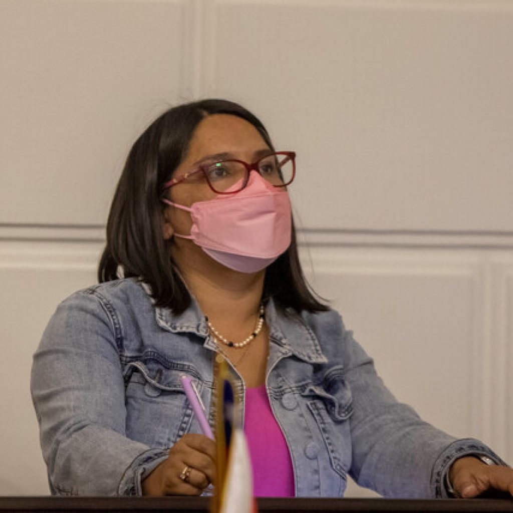 Reglamento propuesto en la CC no permitiría a la derecha presentar indicaciones