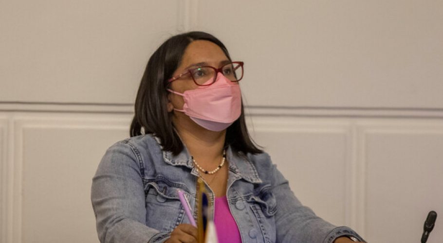 Reglamento propuesto en la CC no permitiría a la derecha presentar indicaciones