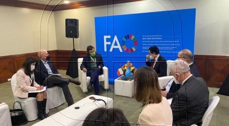 El Ministro de Agricultura se reunió con el Director General de la FAO