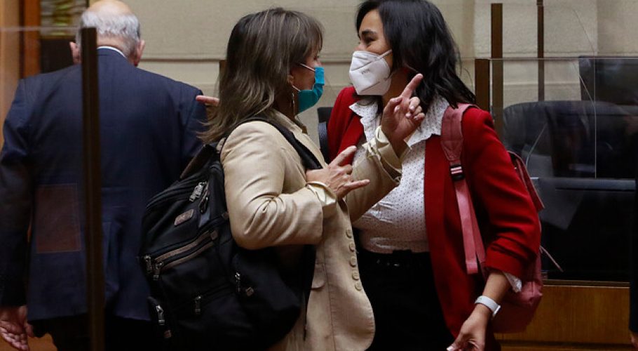 Siches expuso en el Senado estrategia ante conflicto en la macrozona sur