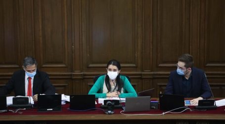 Convención Constitucional ya aprobó más de 190 normas en el pleno