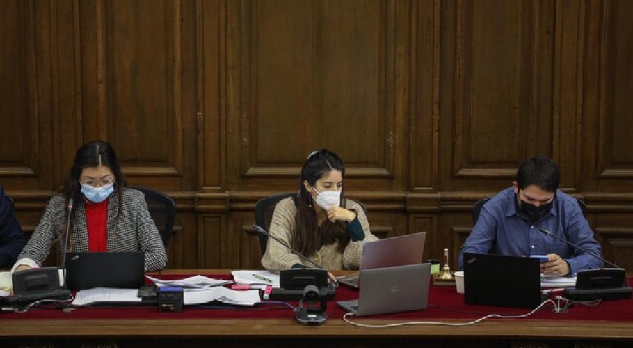 Convención incorporó el fomento a la lectura en nueva Constitución