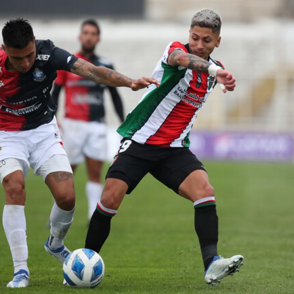 Palestino regresó a los triunfos a costa de Deportes Antofagasta